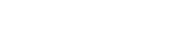 Hybrid.ai